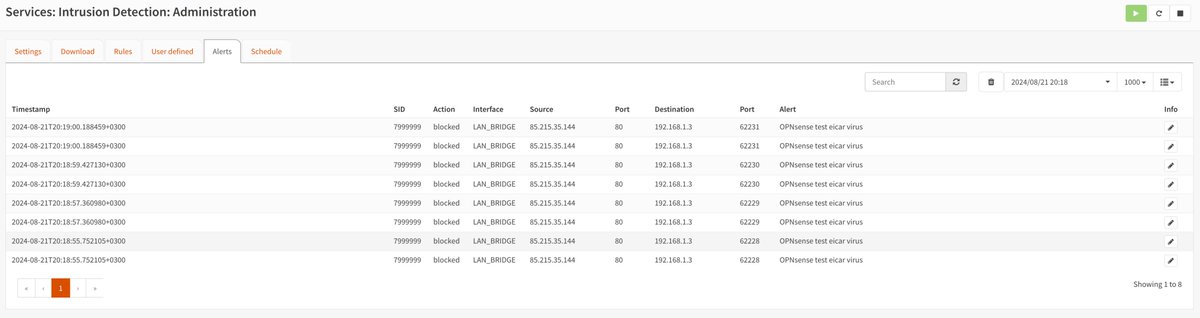 Suricata Alerts