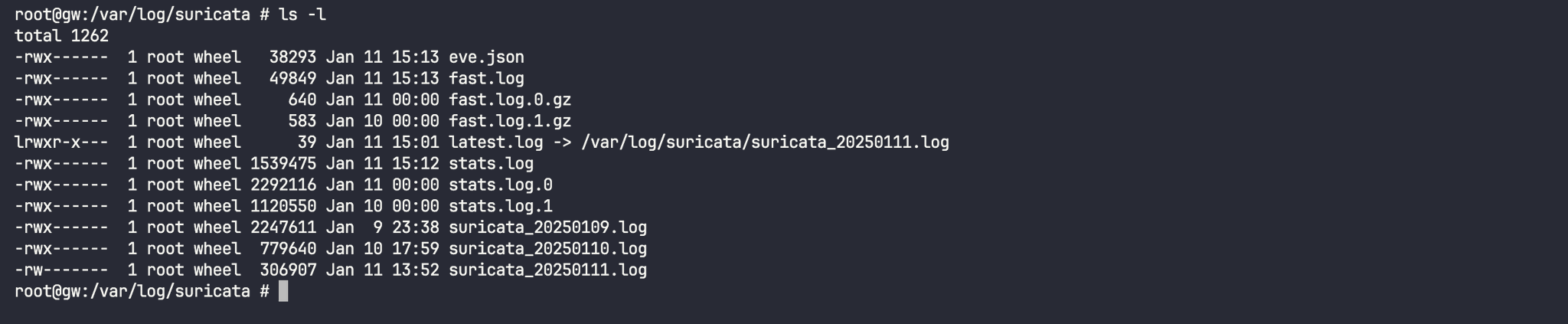 suricata-logs
